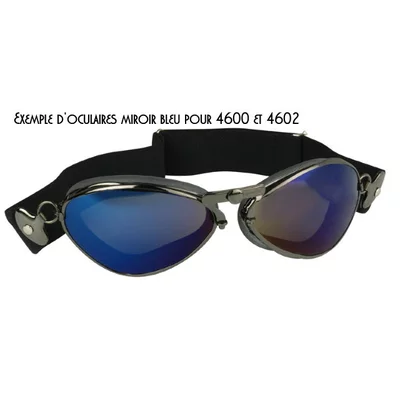 Oculaires pour 4600/4602 Miroir Bleu